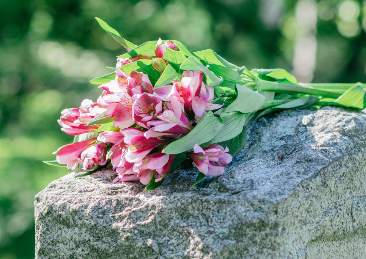 Pinke Blumen auf Grabstein