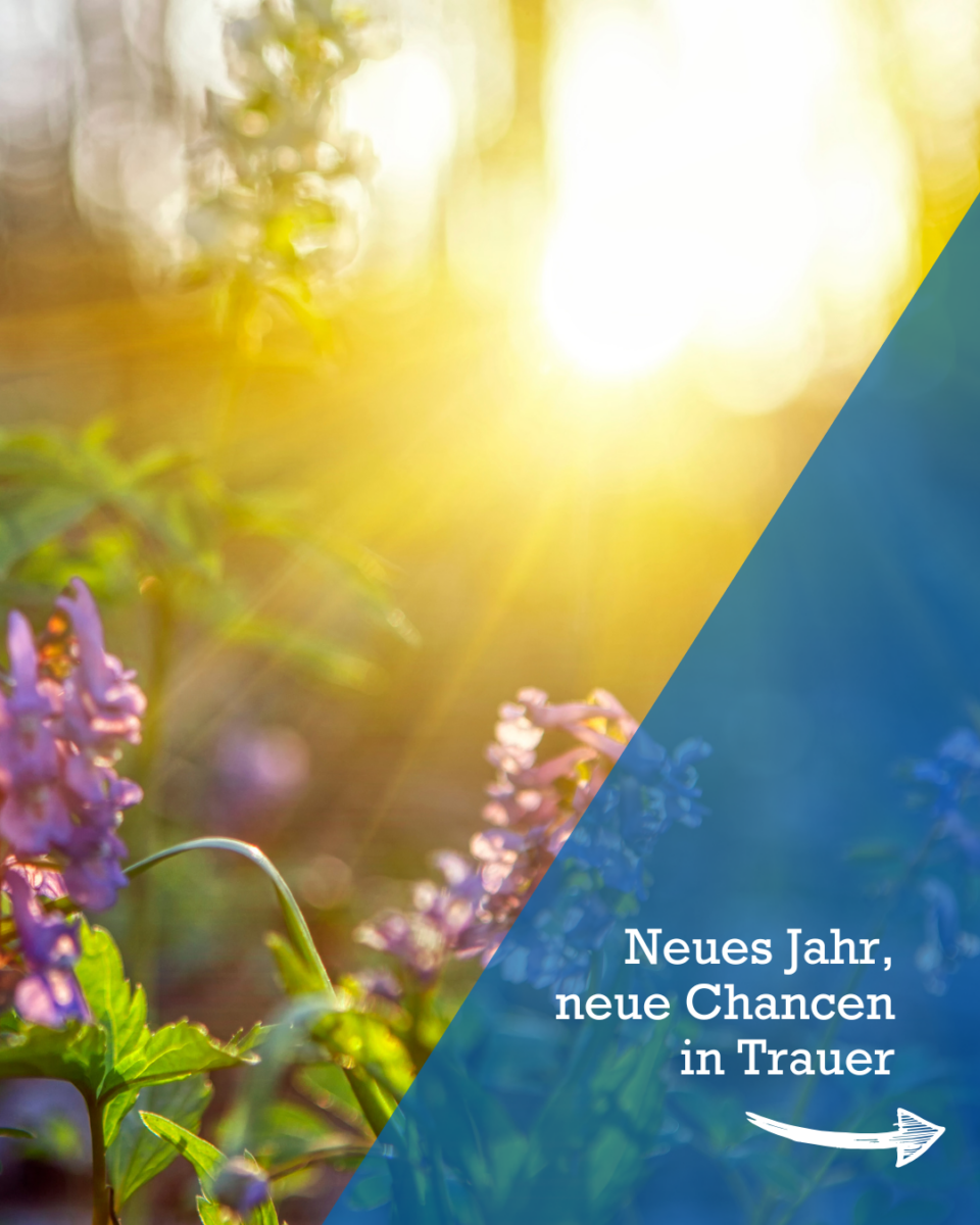 Neuanfang