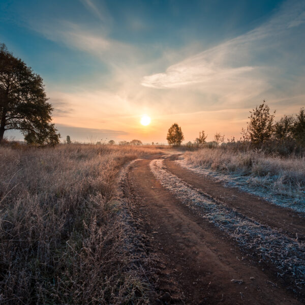 Landschaft mit Baum im Winter