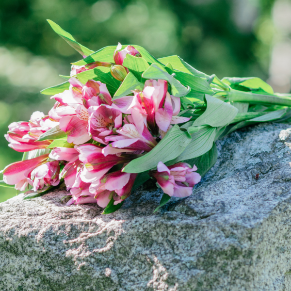 Pinke Blumen auf Grabstein