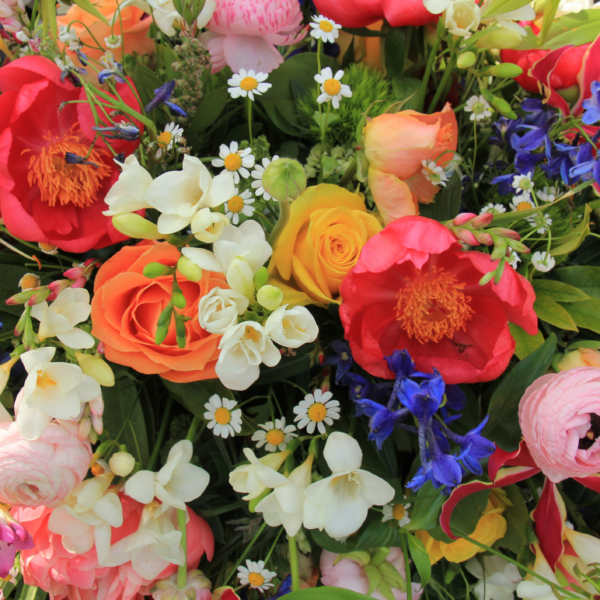 Ein bunter Strauß-Blumen von oben