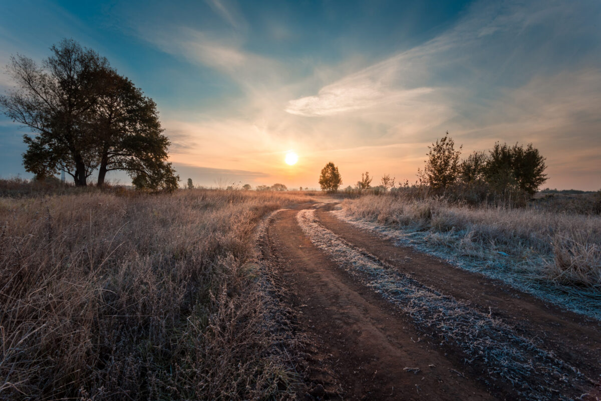Landschaft mit Baum im Winter