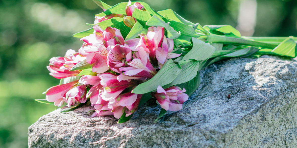 Pinke Blumen auf Grabstein