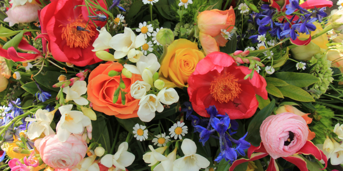 Ein bunter Strauß-Blumen von oben